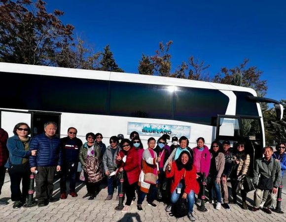 WhatsApp Image 2023-03-14 at 16.14.25 (3)